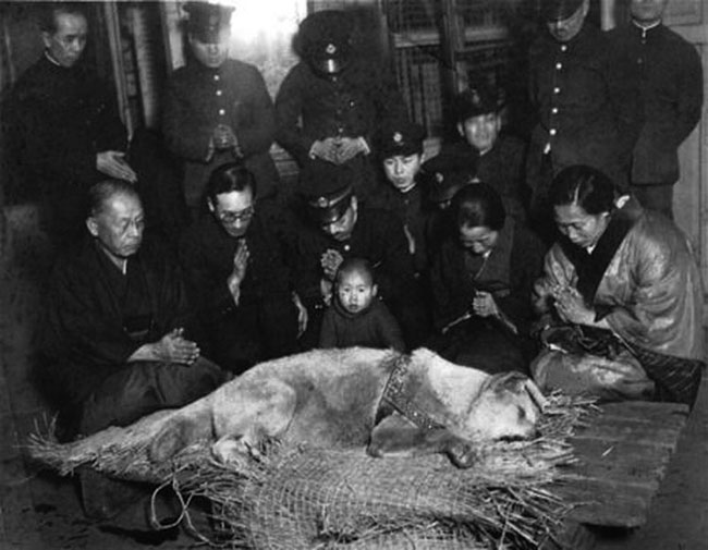Personnel of Shibuya train station mourning over the loss of Hachiko with his master's wife.