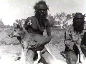 Aboriginals kept Dingoes as watchdogs, camp cleaners as well as an emergency food source